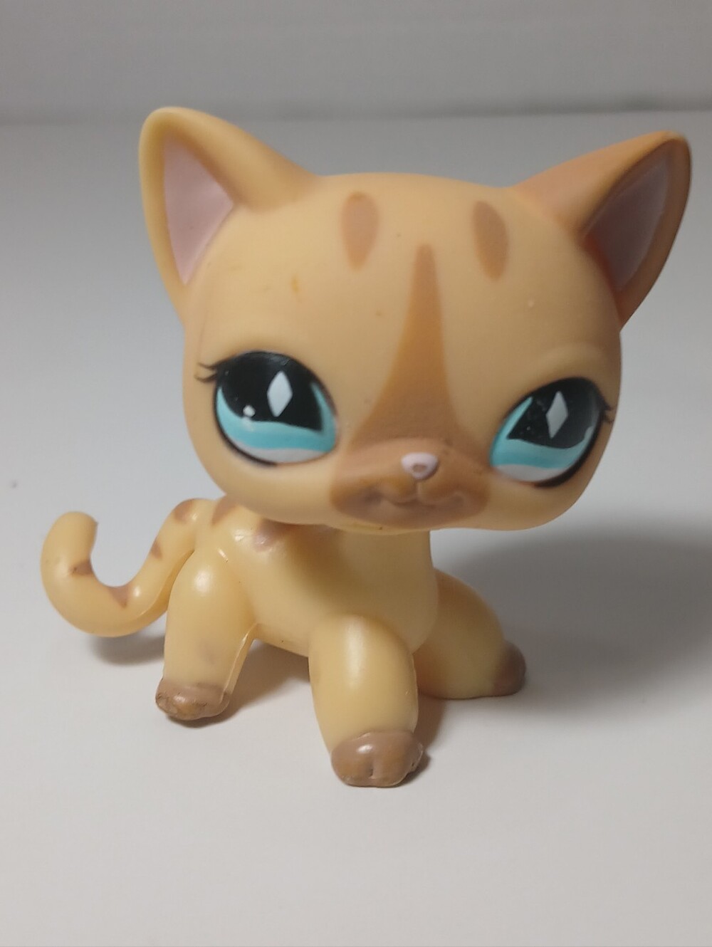Littlest Pet Shop LPS 886 Authentic Shorthair Cat READ